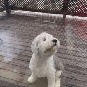 Meet your Posher, Karen